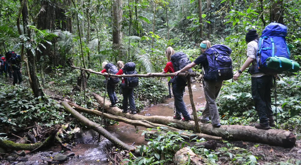 Nam Ha National Bio-Diversity Conservation Area, Luang Namtha Province, Laos